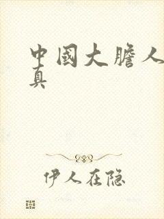 中国大胆人体写真封面