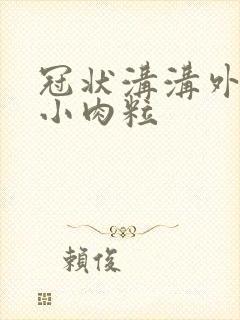 冠状沟沟外围起小肉粒