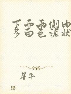 下面两侧内壁很多白色泥状物会痒