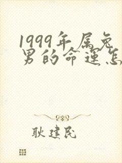 1999年属兔男的命运怎么样