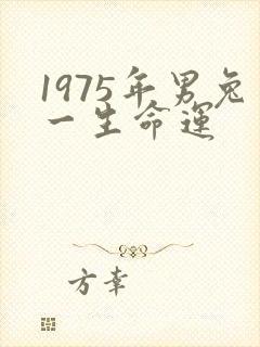1975年男兔一生命运
