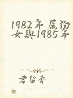 1982年属狗女与1985年属牛男婚配