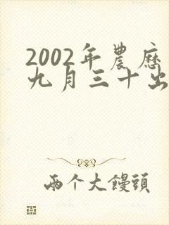 2002年农历九月三十出生的人命运