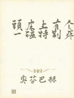 头皮上有个疙瘩一碰特别疼咋回事