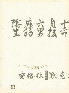 阴历六月十六出生的男孩命运