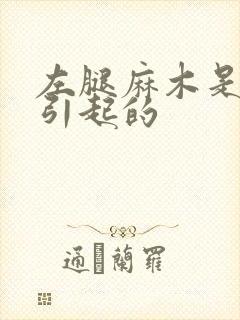 左腿麻木是原因引起的