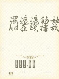 湿漉漉的她日本hd在线播放封面