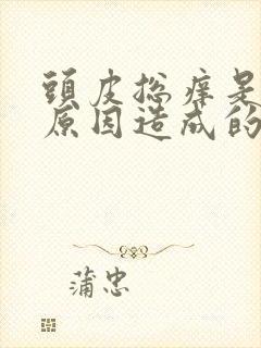 头皮总痒是什么原因造成的