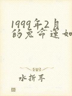 1999年2月的兔命运如何