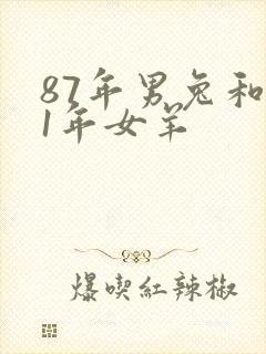 87年男兔和91年女羊