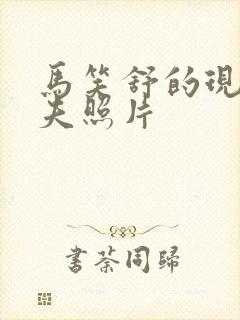 马笑舒的现任丈夫照片