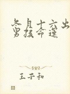 冬月十六出生的男孩命运封面