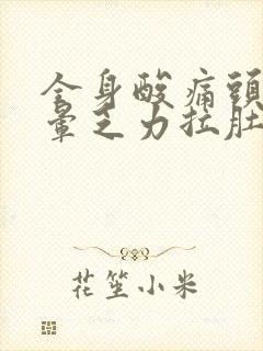 全身酸痛头疼头晕乏力拉肚子