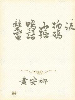 双鸭山物流公司电话号码