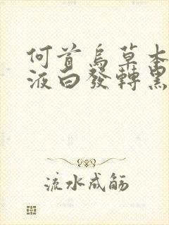 何首乌草本洗发液白发转黑