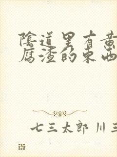 阴道里有黄色豆腐渣的东西