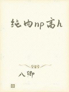 纯肉np高h封面