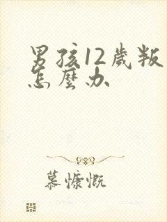 男孩12岁叛逆怎么办