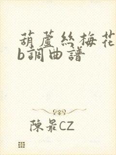 葫芦丝梅花泪降b调曲谱