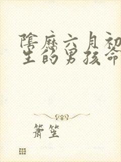 阴历六月初一出生的男孩命运