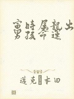 寅时属龙出生的男孩命运