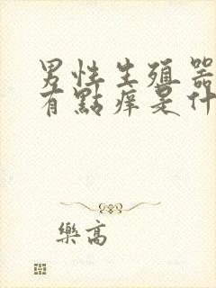 男性生殖器两边有点痒是什么原因