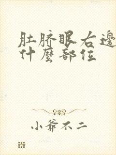 肚脐眼右边疼是什么部位封面