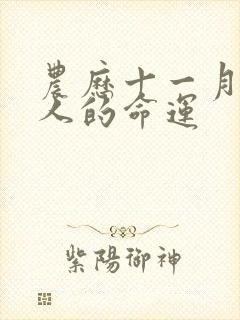 农历十一月属马人的命运