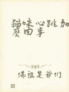 猫咪心跳加快怎么回事