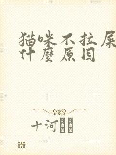 猫咪不拉屎不尿什么原因