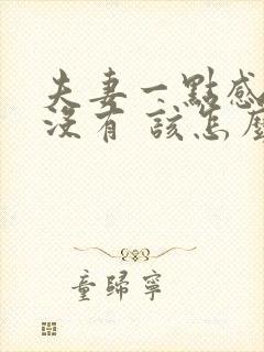 夫妻一点感情都没有 该怎么维持