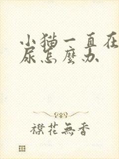 小猫一直在床上尿怎么办