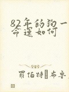 82年的狗一生命运如何