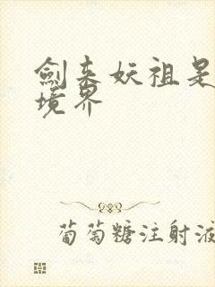 剑来妖祖是什么境界