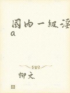 国内一级淫片aa