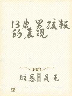 13岁男孩叛逆的表现