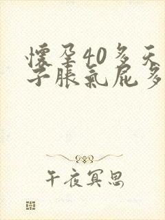 怀孕40多天肚子胀气屁多