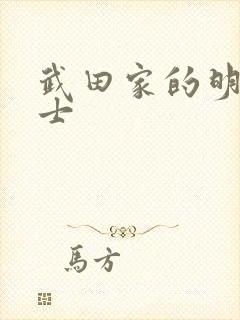 武田家的明国武士封面