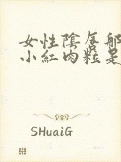 女性阴唇那起了小红肉粒是什么原因