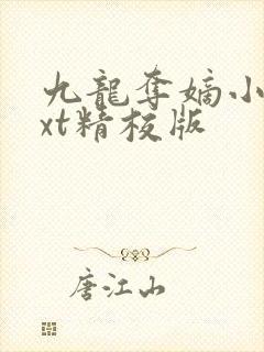 九龙夺嫡小说txt精校版