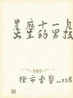 农历十一月十一出生的男孩命运如何