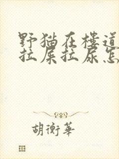 野猫在楼道到处拉屎拉尿怎么办