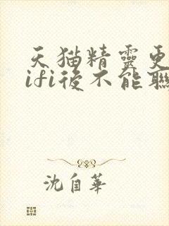 天猫精灵更换wifi后不能联网