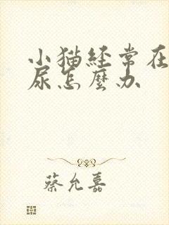 小猫经常在床上尿怎么办封面