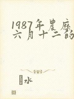 1987年农历六月十二的命运