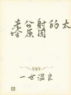 老公射的太快是啥原因