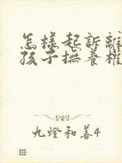 怎样起诉离婚的孩子抚养权