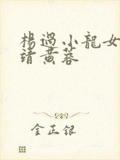 杨过小龙女与郭靖黄蓉