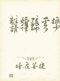 离婚孩子抚养权请律师多少钱