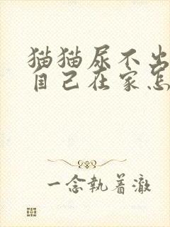 猫猫尿不出尿,自己在家怎么能缓解